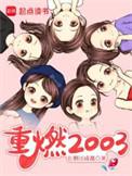 重燃2003精校版TXT