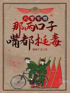 六零年代军婚类