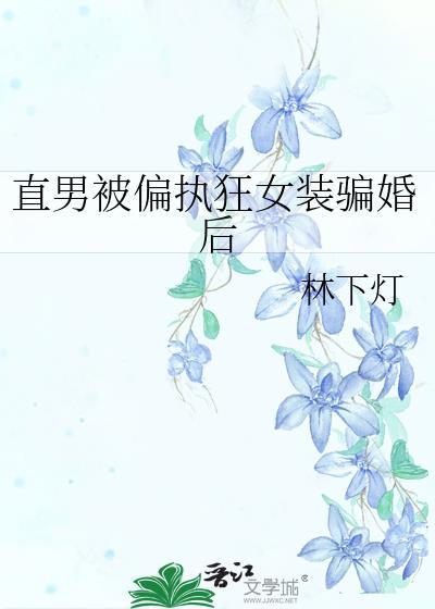 直男被偏执狂女装骗婚后by林下灯