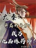 大秦 开局