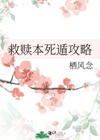 救赎小可怜男配后我死遁了 栖风念