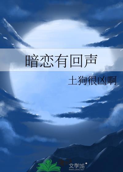 暗恋有回声txt