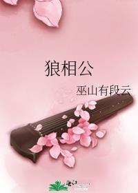 穿越小夫郎文