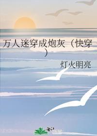 万人迷炮灰快穿晋江