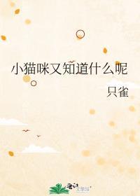 小猫咪又知道什么呢TXT