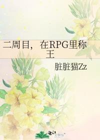 二周目在rpg里称王80