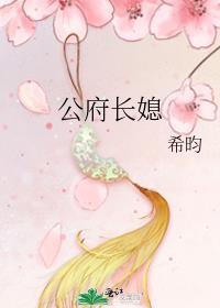 公府长媳讲什么
