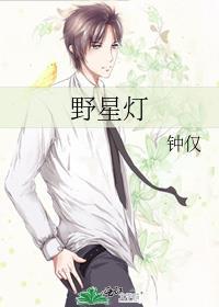 野星灯阅读TXT