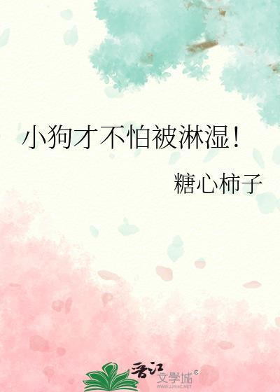 小狗才不怕被淋湿吗