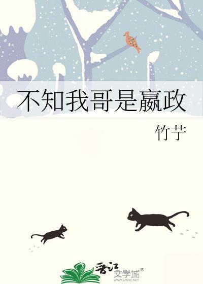 不知我哥是嬴政的什么人