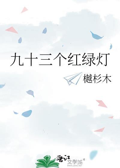 九十三个红绿灯原著