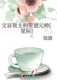 文盲大帅