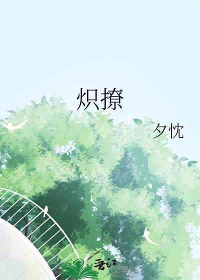 炽撩原著全文