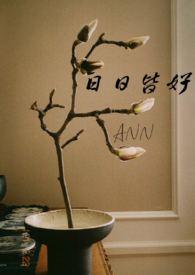日日皆好笔趣阁ann
