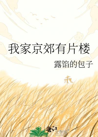 我家京郊有片楼 露馅的包子百度