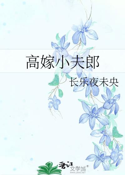 高嫁小夫郎长乐夜未央番外