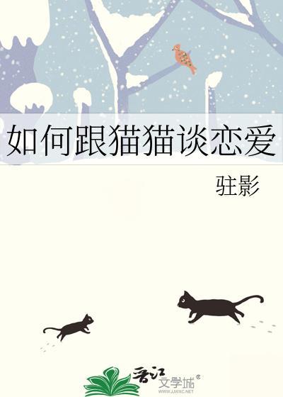 如何跟猫猫谈恋爱呢