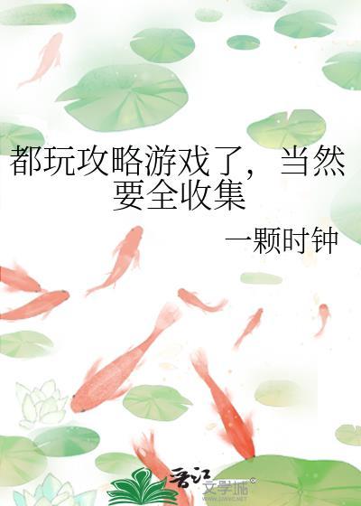 攻略游戏是什么