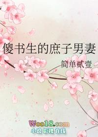 傻书生的庶子男妻 简单贰壹