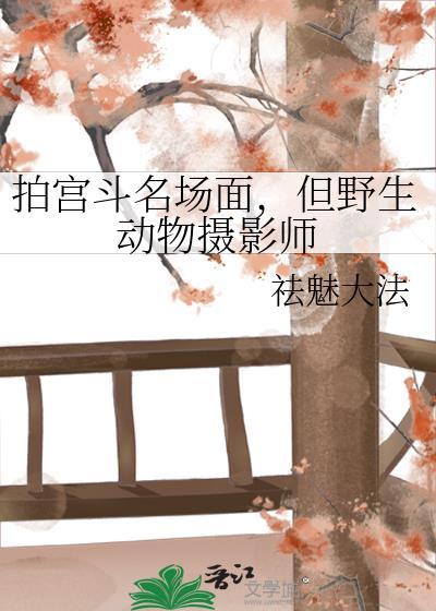 野生动物摄影大师