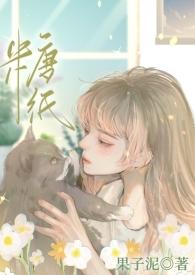 糖纸作品图片大全