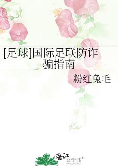 足球国际足联防诈骗指南txt