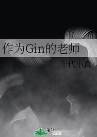 作为gin的老师免费阅读
