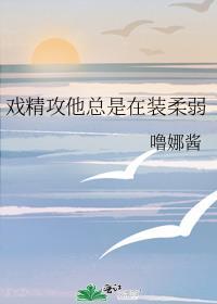 戏精攻受