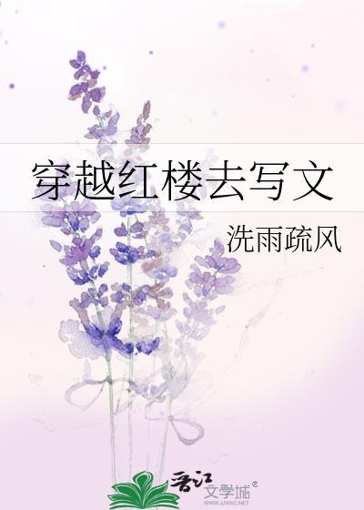 穿越红楼系列