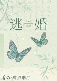 逃婚后去往何处by鹭点烟汀