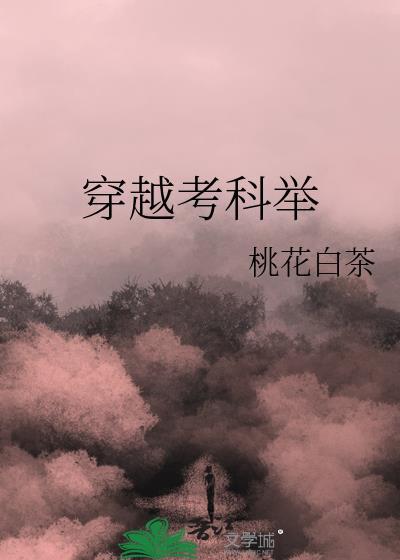 考科举的穿越文