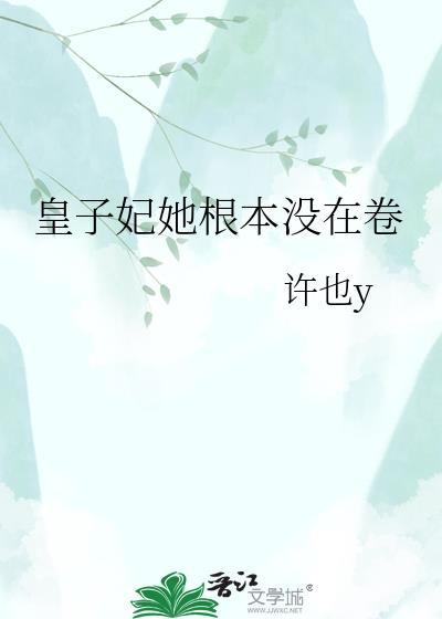 皇子妃什么意思