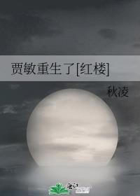 重生之贾敏