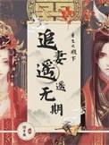殿下的追妻攻略