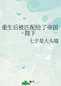 拥吻蝶宋辞