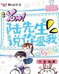 陆先生听说你喜欢我全本免费阅读