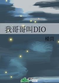 我哥哥叫DIO类似