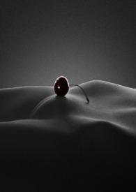 顶风作案np弥花全文阅读最新章节