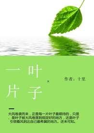 一片叶子啥意思
