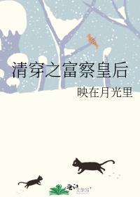 清穿之富察皇后傅丹微