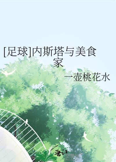 内斯塔全名