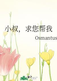 请你帮帮我