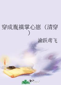 穿成胤禛的额娘
