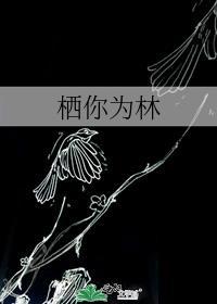 栖你为林gI晋江