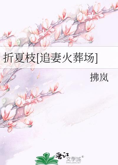 折夏枝追妻火葬场