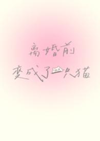 离婚前变成了一只猫po