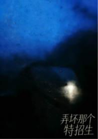 弄坏那个特招生书包网