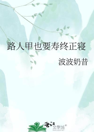 路人甲也要寿终正寝像似的书