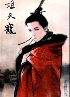 姐夫宠讲的是什么