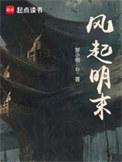 风起明末无弹窗 笔趣阁全本